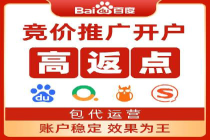 成功案例：一家初创企业如何通过百度关键词推广快速崛起